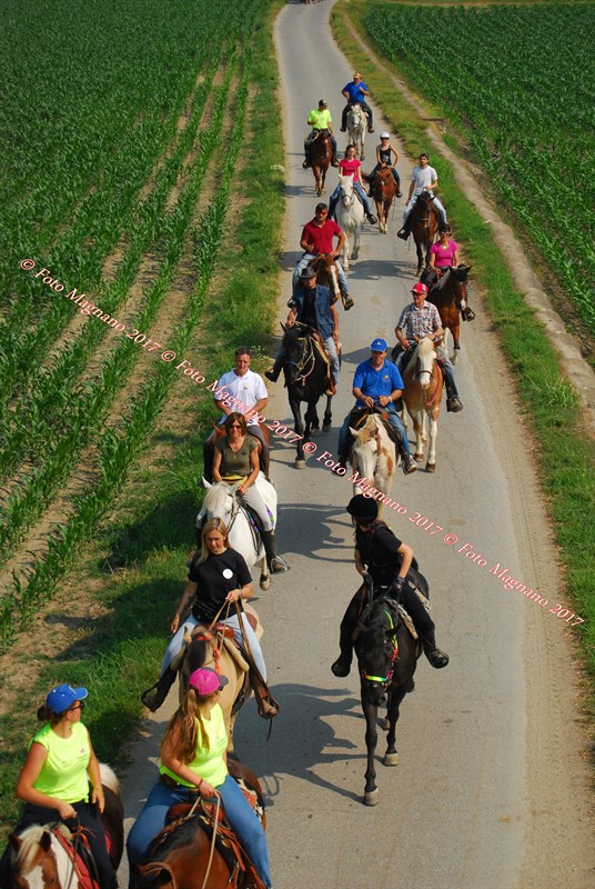 DSC_4979.JPG